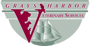 harbor veterinary clinic